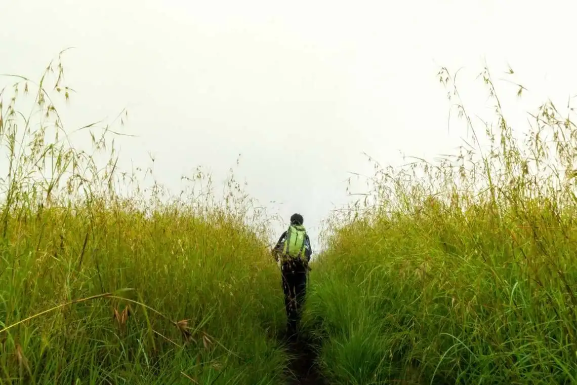 padang-savanna-sepanjang-jalur-pendakian-gunung-rinjani-lewat-pintu-sembalun-ricko-rullyarto