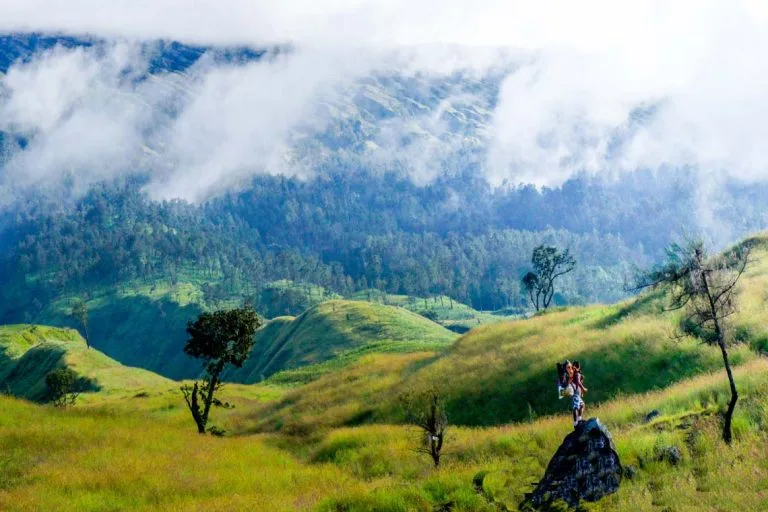 open trip gunung rinjani 2025