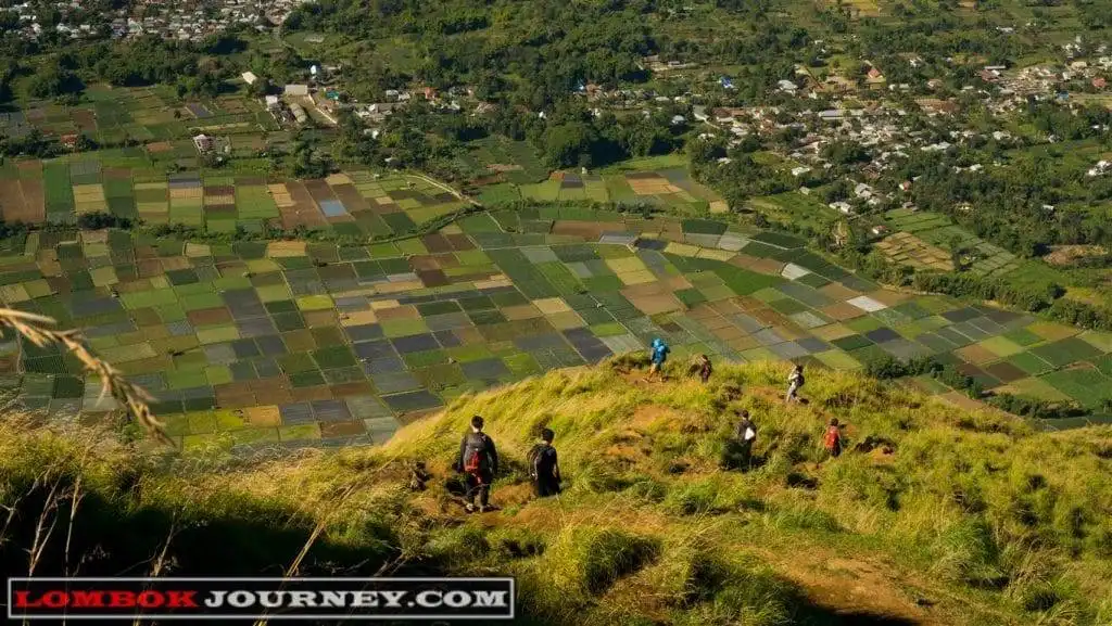 paket trekking bukit pergasingan lombok