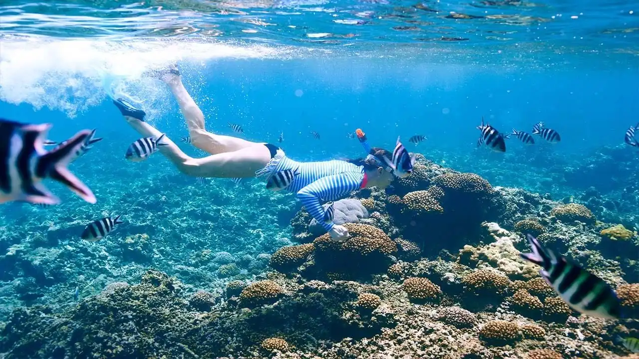 snorkeling di gili nanggu lombok murah