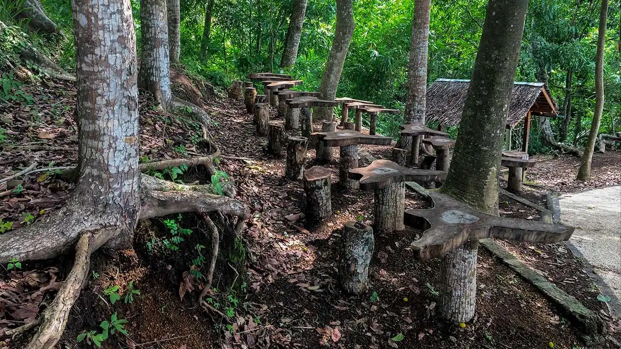 The North Fresh : Tour Air Terjun Kertagangga - Tiu Pupus - Kampung Cokelat Senara 3 kursi dan meja kayu estetik