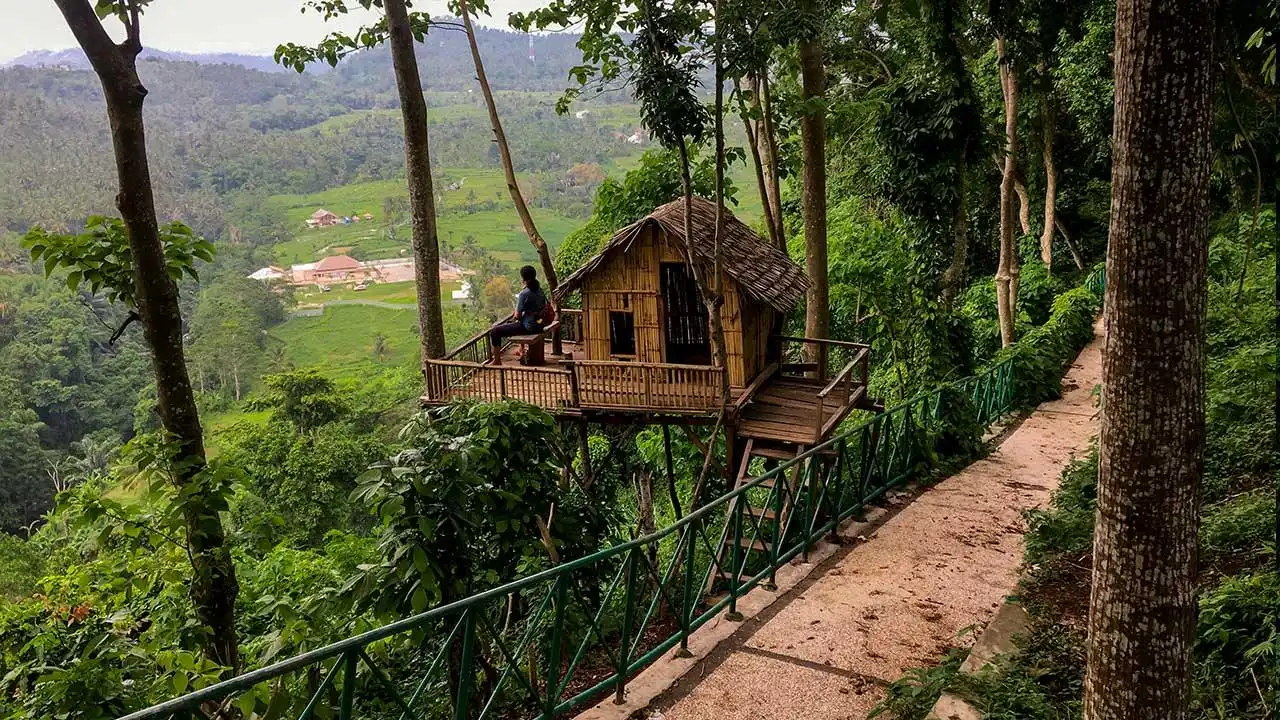 rumah pohon gangga murmas