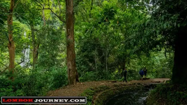 trek alternatif via saluran irigasi tiu kelep Medium