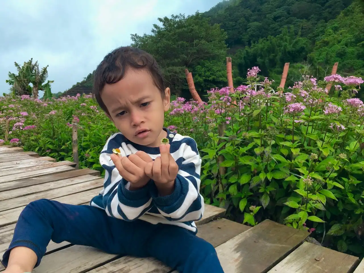 anak memegang bunga di sembalun