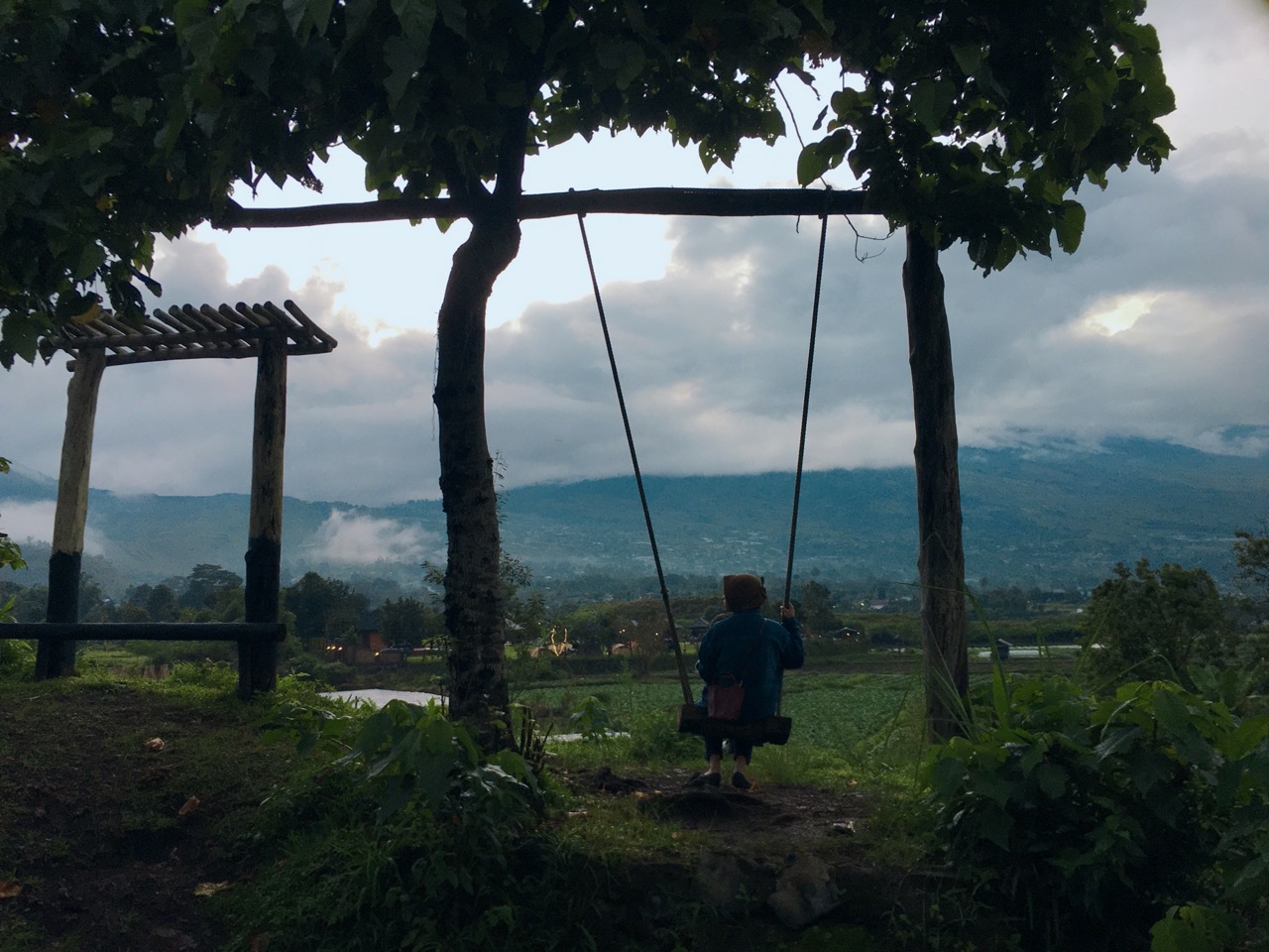 Review of Arum Rinjani Park : Camping Ground - Glamping & Flower Garden 2 ayunan background rinjani di sembalun arum rinjani park