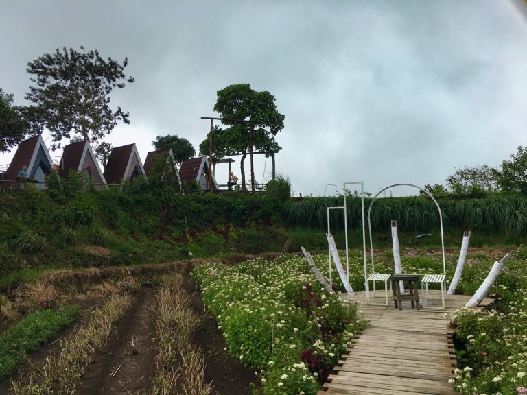 glamping view taman bunga di sembalun arum rinjani park