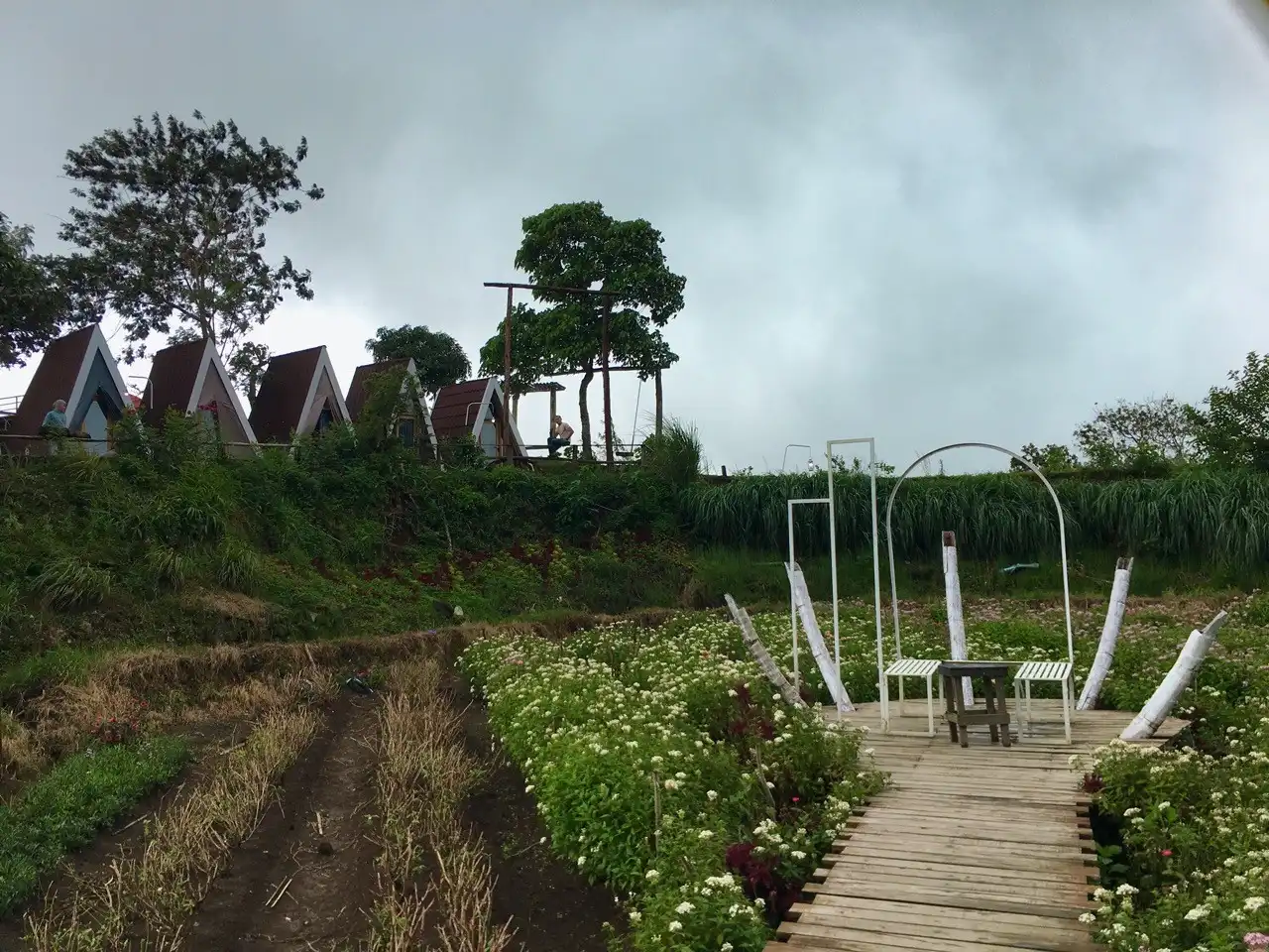 glamping view taman bunga di sembalun arum rinjani park