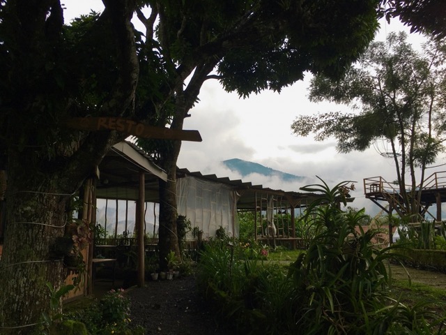 Review of Arum Rinjani Park : Camping Ground - Glamping & Flower Garden 10 restoran view rinjani di sembalun arum rinjani park