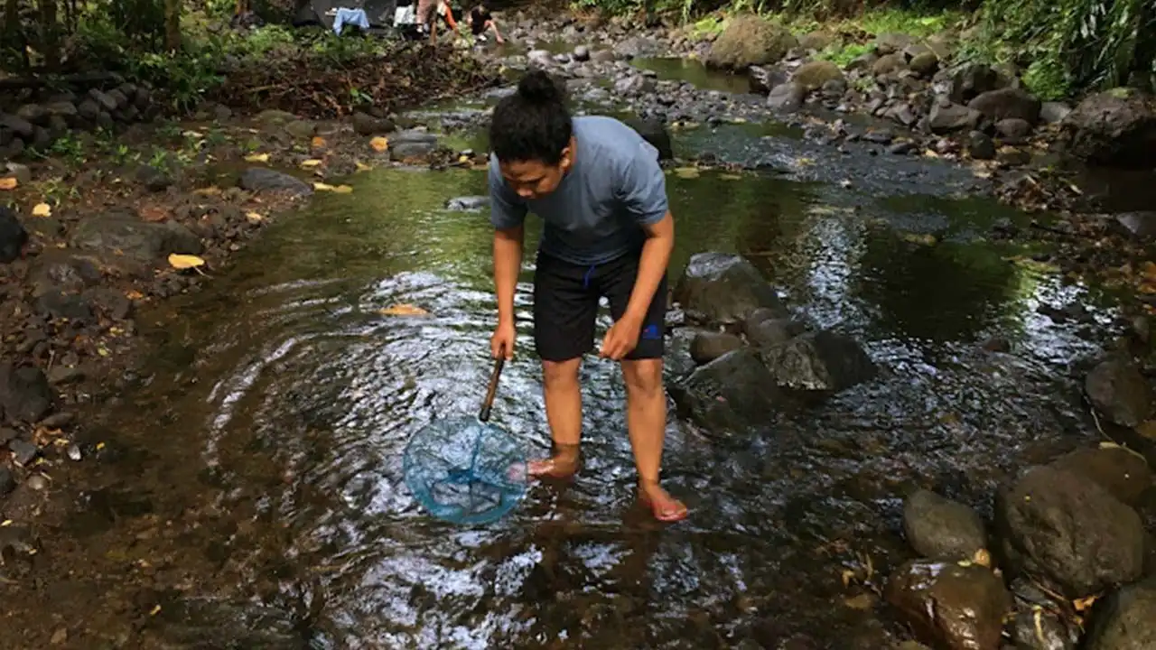 Camping Ground Koloh Berora - Healing Syahdu Gak Perlu Jauh-jauh 1 cari ikan di camping ground koloh berora lombok