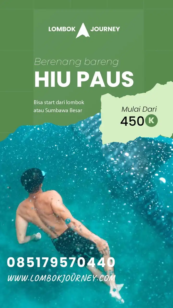 brosur paket wisata hiu paus sumbawa start lombok