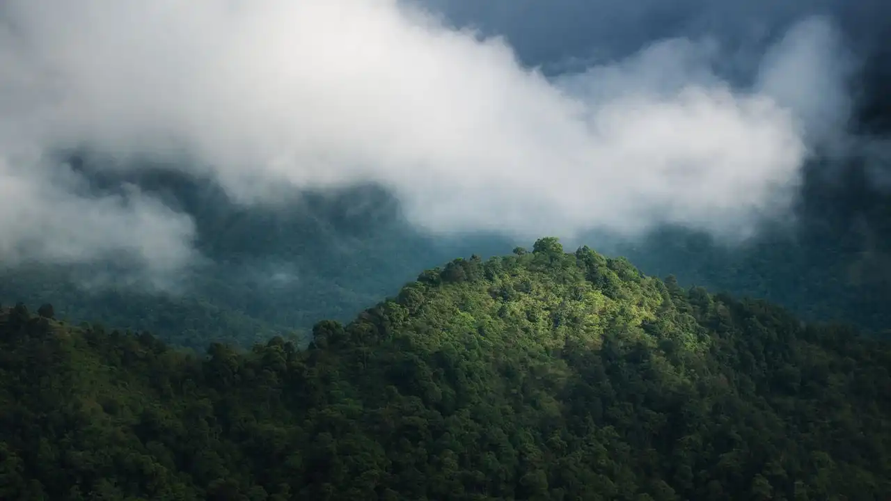 Bukit Nanggi Hill Sembalun, Lombok – The Overlooked Mountain Gem 4 paket wisata lombok murah dan paket trekking gunung rinjani
