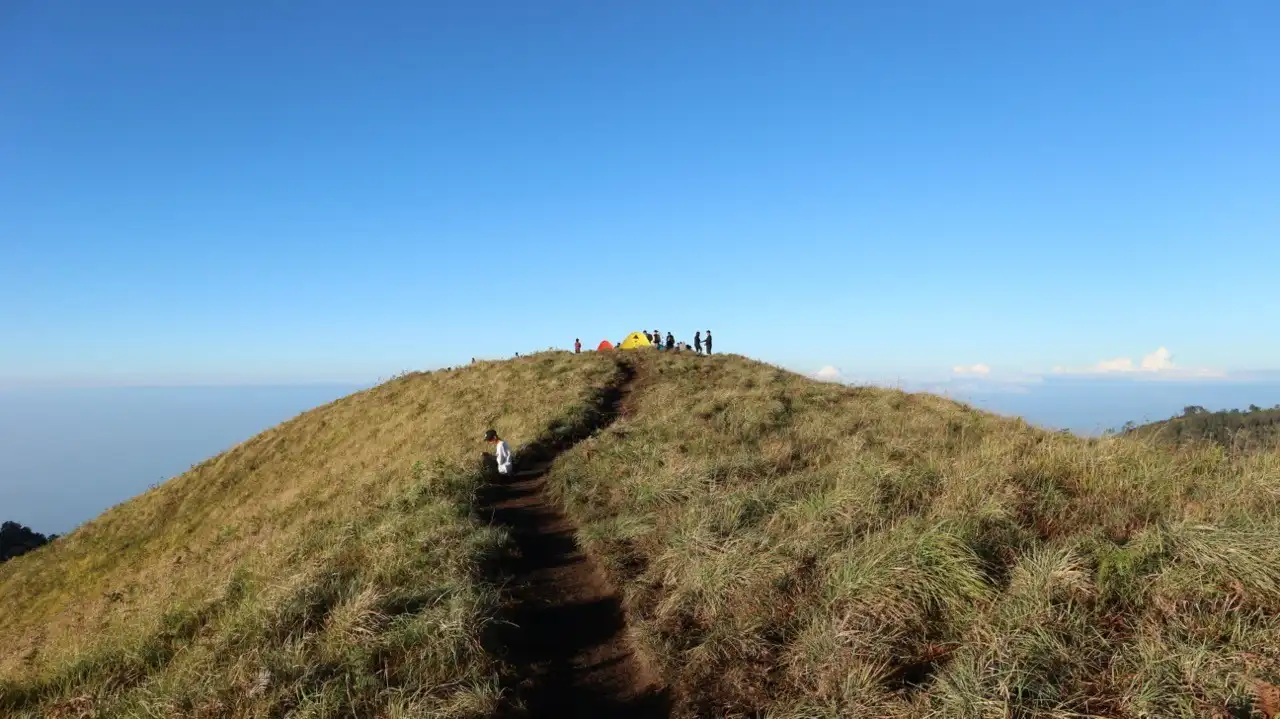 Puncak Gunung Sempana 2329 MDPL