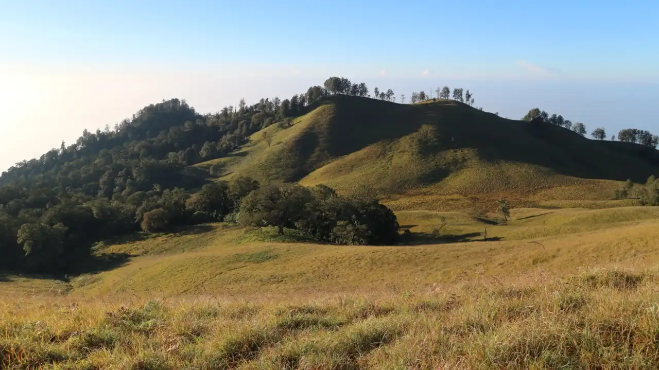 Savana Bukit Teletubbies di gunung Sempana Lombok