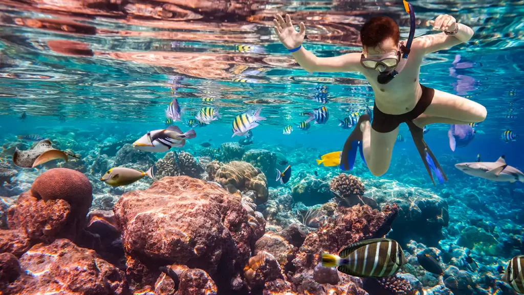Gambar Ikan di Gili Nanggu Lombok