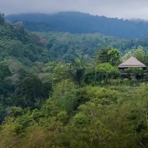 akomodasi dekat sendang gile tiu kelep