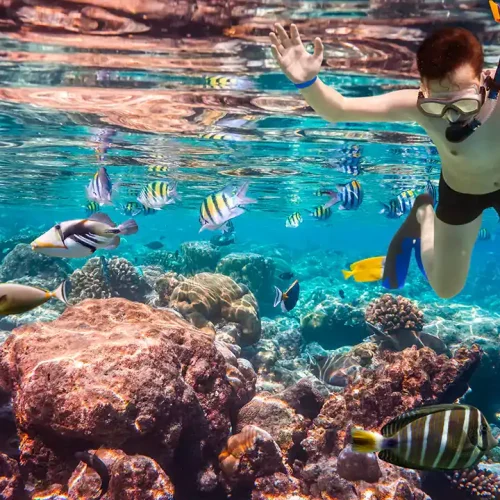 Gambar Ikan di Gili Nanggu Lombok