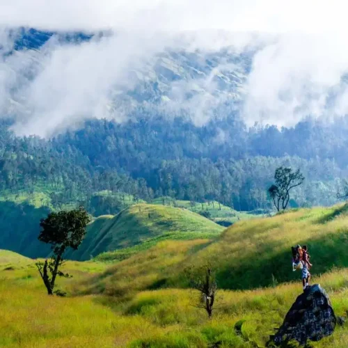 open trip gunung rinjani 2025