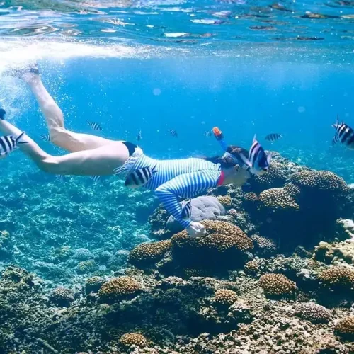 snorkeling di gili nanggu lombok murah