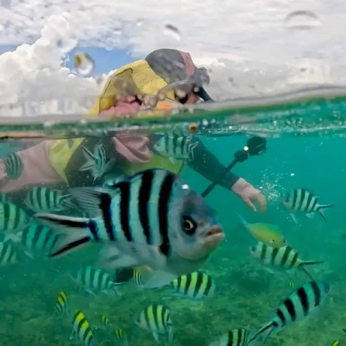 tour snorkeling gili nanggu dan gili kedis gili sudak