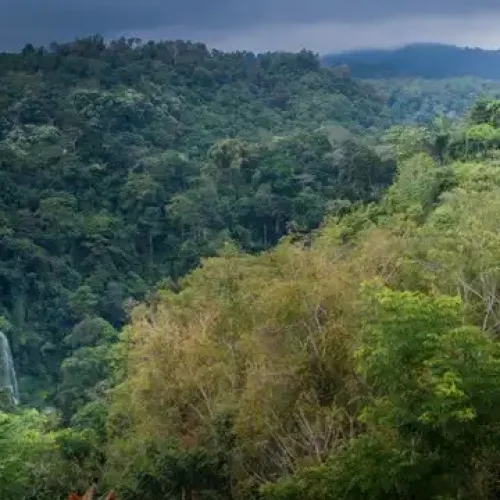 view air terjun sendang gile dari restoran pondok senaru